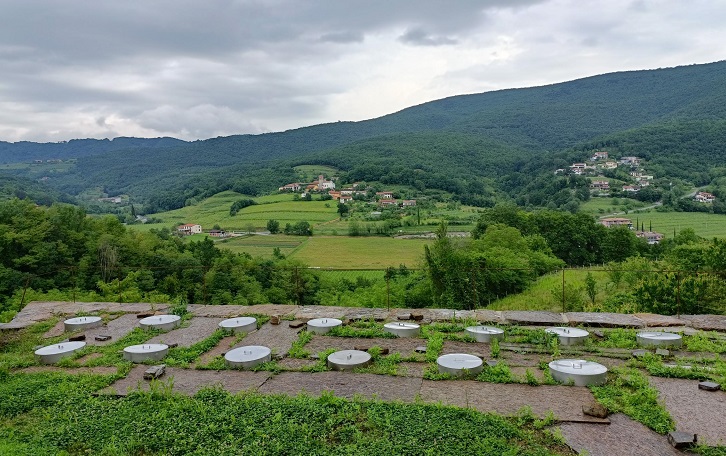 Gravner amphora garden